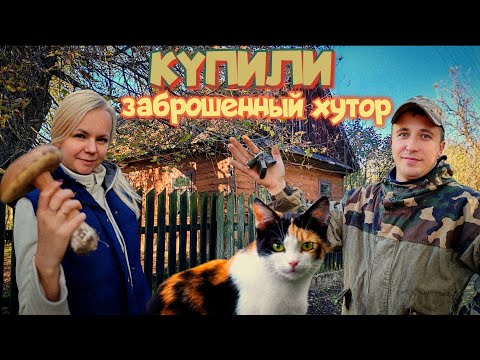 Видео: КУПИЛИ ХУТОР У ОЗЕРА В ЛЕСУ. ХОРОШИЙ ЗНАК.