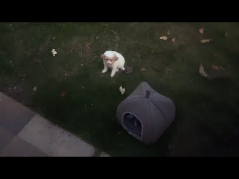 Видео: Если я не спасу тебя, спасёт ли кто-то другой?