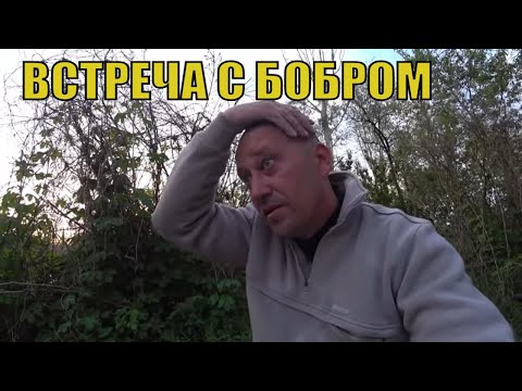 Видео: 7 дней в ГЛУШИ. Без ЕДЫ и ВОДЫ. (часть 2. В поисках САЗАНА.)