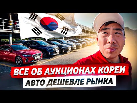 Видео: АВТО из ЮЖНОЙ КОРЕИ: Большой обзор Аукциона