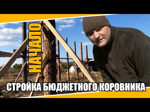 Видео: №0038 Строим бюджетный коровник на 7 голов. Наше сельское хозяйство "Настоящее из хутора".