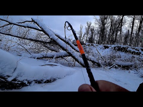 Видео: НАШЛИ НЕ РАЗБУРЕННУЮ КОРЯГУ А ТАМ ВСЯ РЫБА!!Рыбалка на Оби. Первый лед 2022-2023.