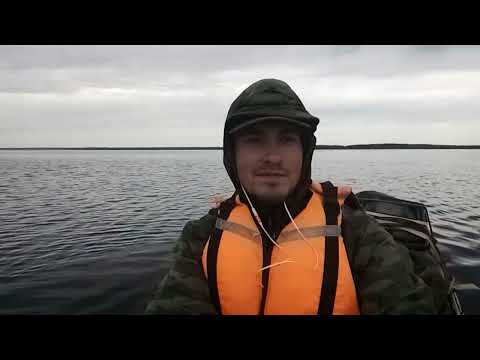 Видео: Сплав по реке Пелым и Тавда 2019 г.