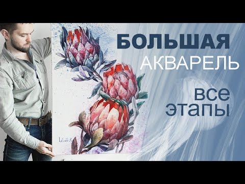 Видео: БОЛЬШАЯ АКВАРЕЛЬ