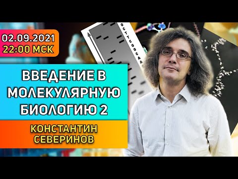 Видео: Константин Северинов. Введение в молекулярную биологию: Плавление, копирование и секвенирование ДНК.