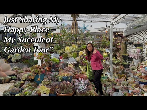Видео: Присоединяйтесь ко мне в небольшой экскурсии и обновлении моего суккулентного сада 🌿💛”