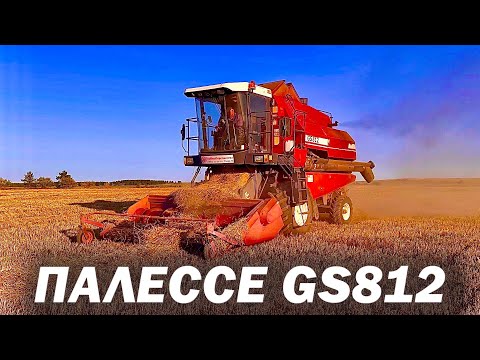 Видео: Палессе GS812 Молотим ячмень и пшеницу