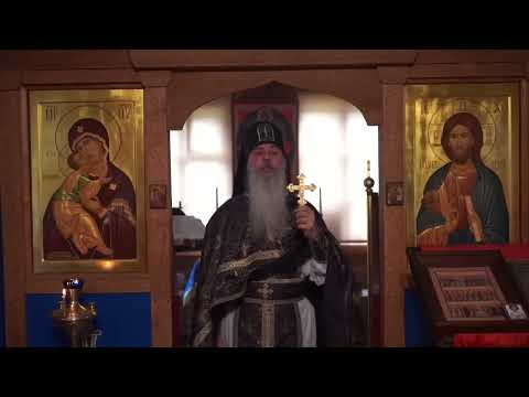 Видео: Еще раз О БЛАГОДАТИ и ПРОБЛЕМАХ ДЕТЕЙ! Схиигумен Гавриил (Виноградов-Лакербая). Кавказский