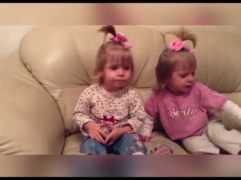 Видео: Этих красоточек мы забрали к себе в 1 месяц и 3 недельки… Сегодня им почти 12 😁🥰😍