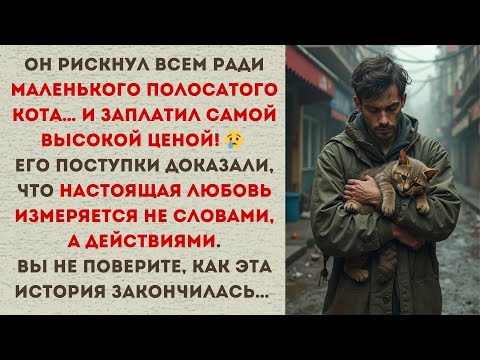 Видео: 🐾 Он спас кота и доказал настоящую любовь… но цена была слишком высокой 🐾