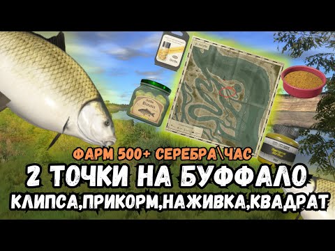 Видео: БУФФАЛО СОШЁЛ С УМА/500+ СЕРЫ/ЧАС/р.Ахтуба ● Русская Рыбалка 4 | РР4