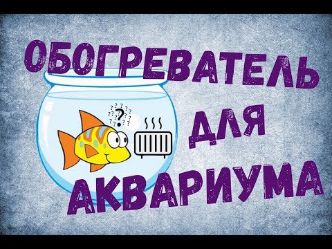 Видео: Обогреватель для аквариума. Как подобрать обогреватель и правильно установить.