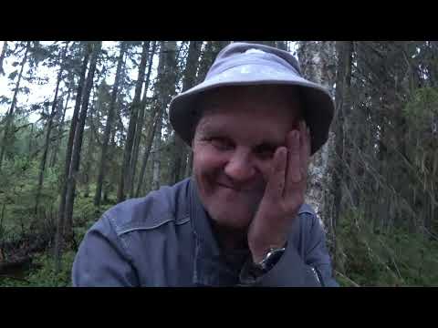 Видео: Завозим печь в тайгу Вездеход  начал трудиться