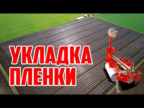 Видео: Укладка мульчирующей пленки 01 05 20