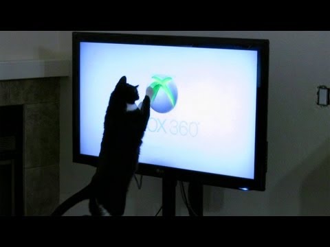 Видео: Логотип Xbox 360 «Кошка атакует»