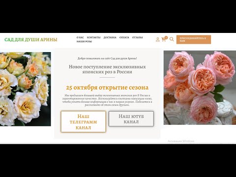 Видео: Наши розы. Питомник Сад для души Арины. Все от начала и до конца.