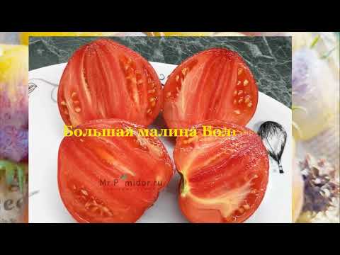 Видео: Красноплодные томаты - Шедевры мировой селекции