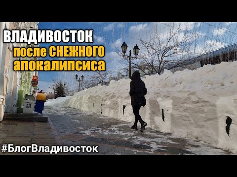 Видео: Владивосток после снежного апокалипсиса. Последствия сильного снегопада. #блогвладивосток