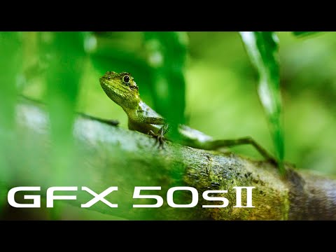 Видео: Презентация GFX 50s II и ответы на вопросы.