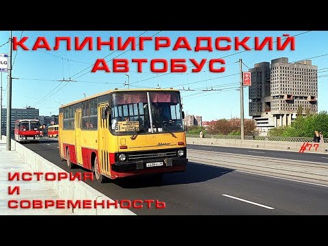 Видео: Калининградские автобусы.  История и современность.  #77