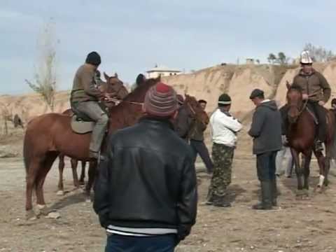 Видео: кок бору кара суу р-н ак жар айылы 1