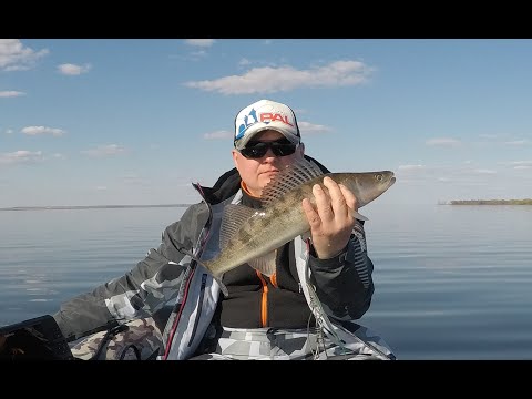 Видео: Апрель 2021/Волгоградское водохранилище/Судак/Джиг