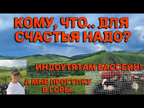 Видео: Живём в горах Алтая и зарабатываем с личного подсобного хозяйства
