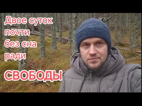 Видео: Вышел из Украины в Румынию через Карпаты