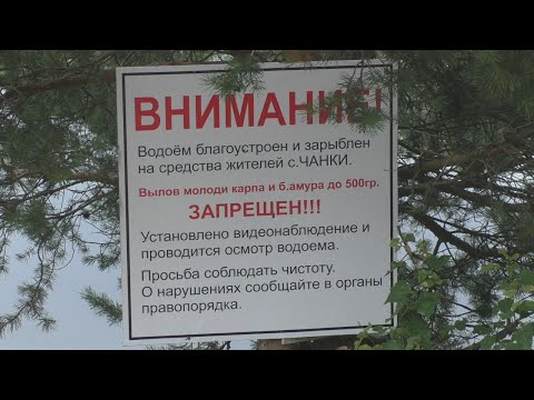 Видео: Благоустройство и зарыбление пруда: Карьер