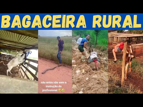 Видео: Это было плохо на полях: величайшие перенеса сельской ...