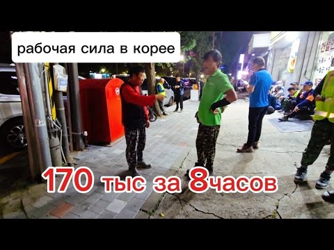 Видео: Вышол на биржу труда ( самушиль) сразу отправили НА РАБОТУ!