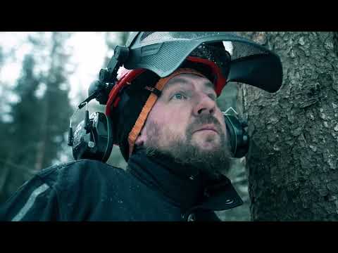 Видео: Профессиональные бензопилы GEOS в деле. Талдомское лесничество фев2024