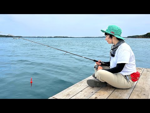 Видео: Результат попытки поймать гигантского рифовый кальмар большеплавник во время поплавочной ловли.