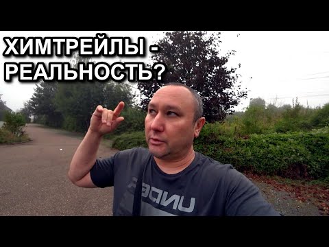 Видео: ПОГУЛЯЛ ЗАБОЛЕЛ ИЛИ ГДЕ ВСЕ НАСЕКОМЫЕ #Химтрейлы