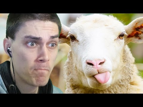 Видео: ГЛАВНЫЙ СРЕДИ ОВЕЦ ! - Red Dead Redemption 2 [Прохождение На Русском] - #11