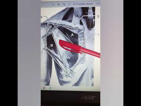 Видео: Қолтық және шынтақ шұңқырының топографиясы