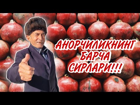 Видео: #АНОР етиштириш ҳақида 2-суҳбат