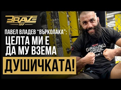 Видео: Павел Владев: Хищник в клетката и творец в живота