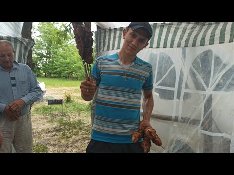 Видео: На кочевке, быт и отдых, кочевой домик, ульи