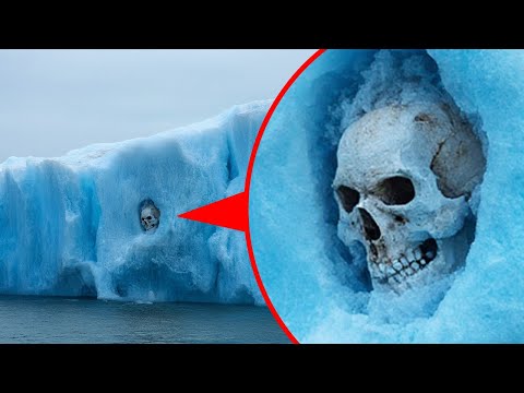 Видео: Находки в Антарктиде, которые оставляют экспертов с большими вопросами
