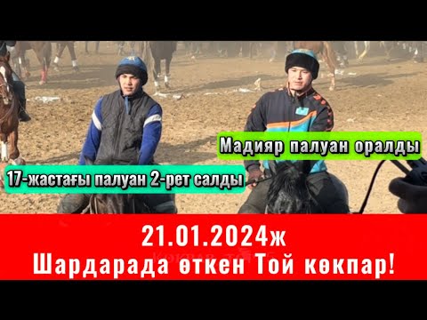 Видео: Шардара қаласында өткен дүбірлі кокпар!