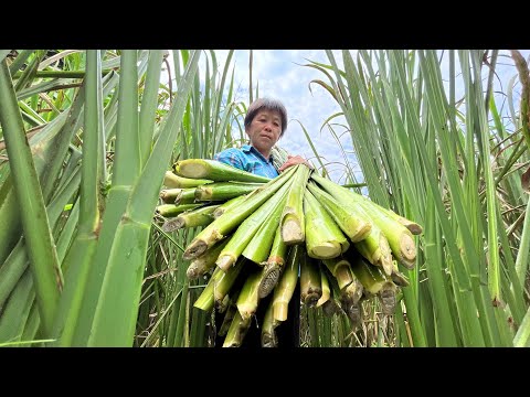 Видео: Белые красивые ноги, белые и нежные, хрустящие и сладкие