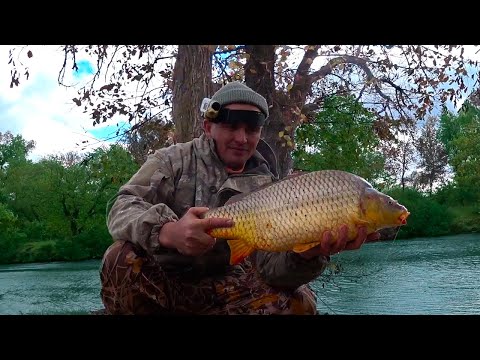 Видео: САЗАНЫ,СОМЫ И КАРАСИ !!! ТЁПЛЫЙ КАНАЛ !!!