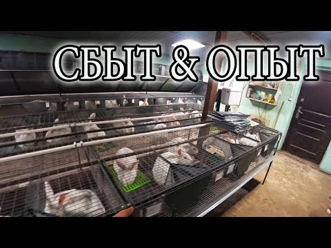 Видео: ТАК СБЫТ ИЛИ ОПЫТ