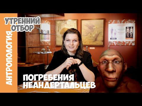 Видео: Как давно появились погребальные обряды? Елена Сударикова