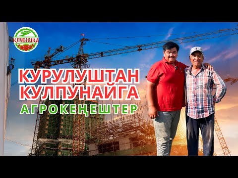 Видео: Курулуштан кулпунайга. Карысы бардын ырысы бар