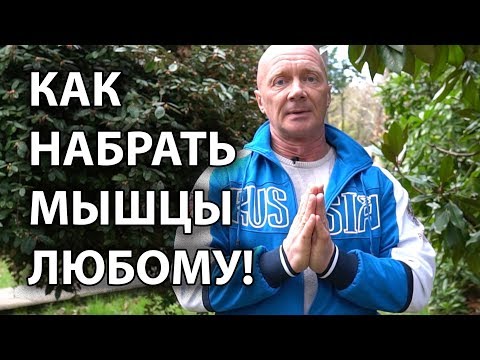 Видео: КАК НАБРАТЬ МЫШЕЧНУЮ МАССУ! Как накачаться эктоморфу и эндоморфу!