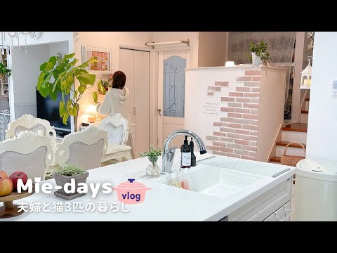 Видео: Ремонт дома, готовка и повседневная жизнь пары и трех их кошек