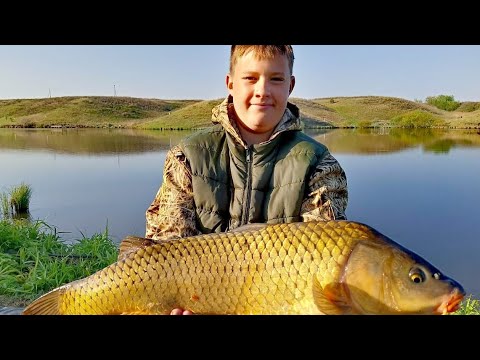 Видео: Турнир "Карповый Май" на водоёме Гранный!🔥