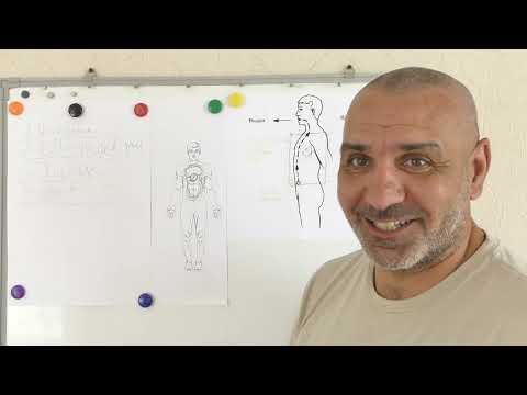 Видео: Что Распространяет КИ и ЦИ по нашему организму